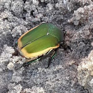 Meet your Posher, Reece